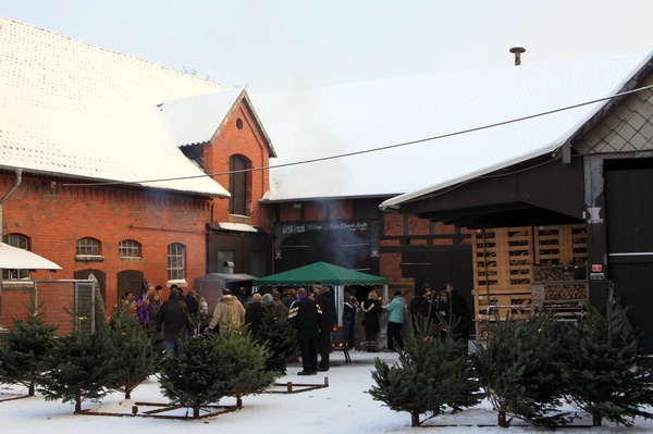 Weihnachtsbaeume   045.jpg